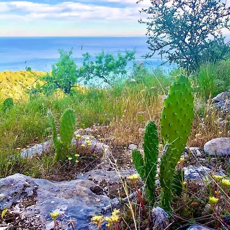 Mediterraneum